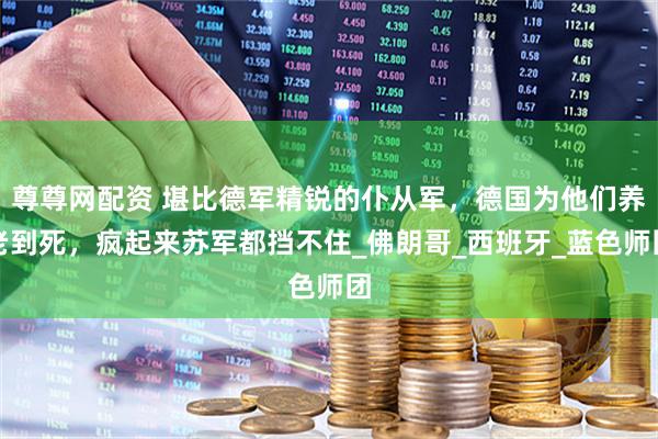 尊尊网配资 堪比德军精锐的仆从军，德国为他们养老到死，疯起来苏军都挡不住_佛朗哥_西班牙_蓝色师团